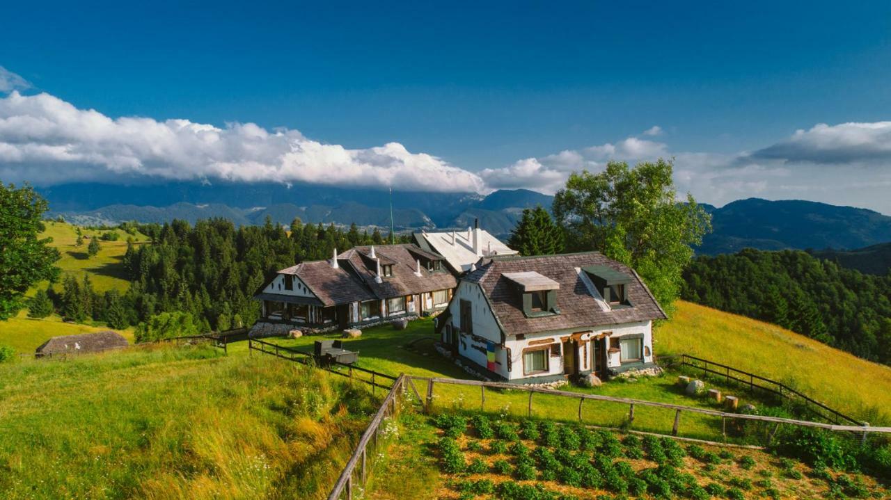Вилла Amfiteatrul Transilvania Моечу-де-Жос Экстерьер фото